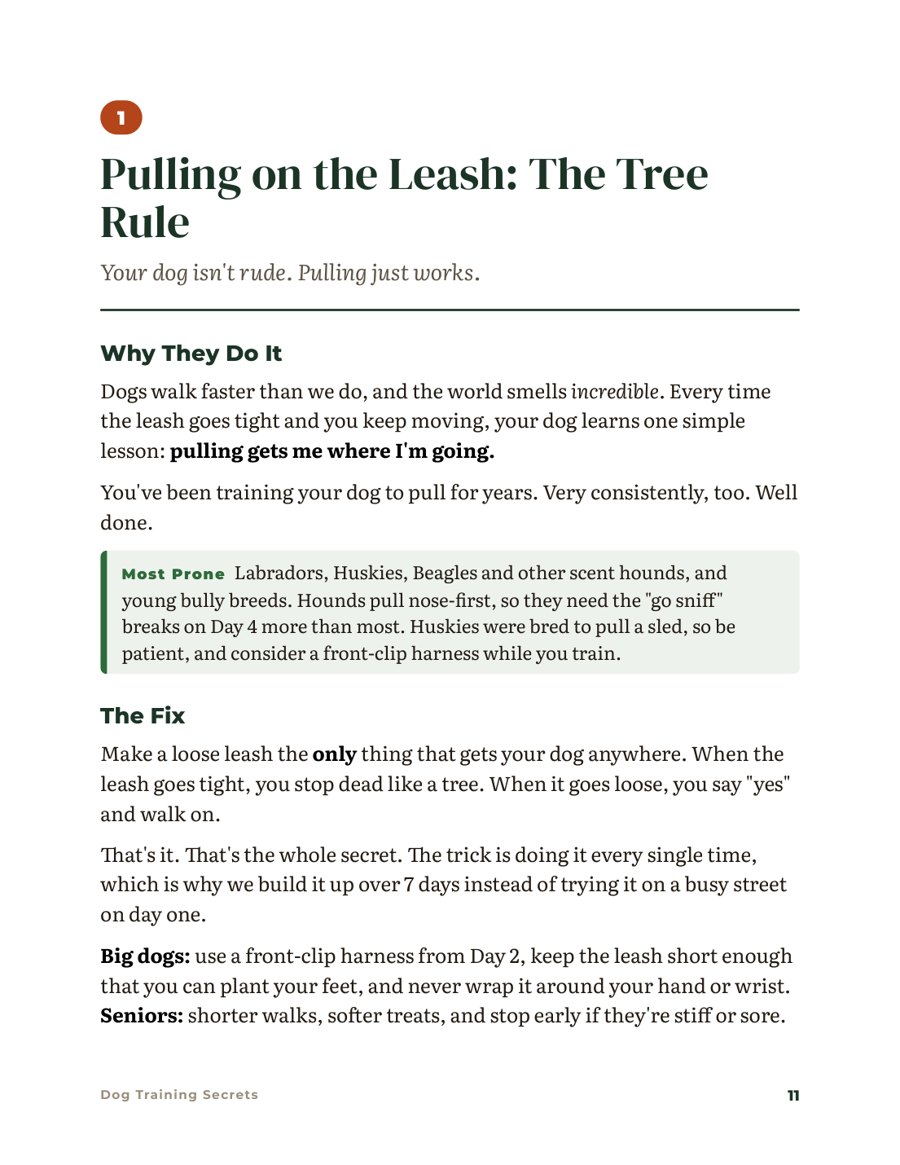 Sample page: Habit #1, Pulling on the Leash